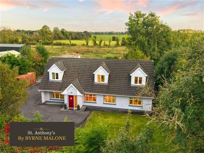 Saint Anthony'S, Ballyhagan, Carbury, Carbury, Co. Kildare, W91F3AE