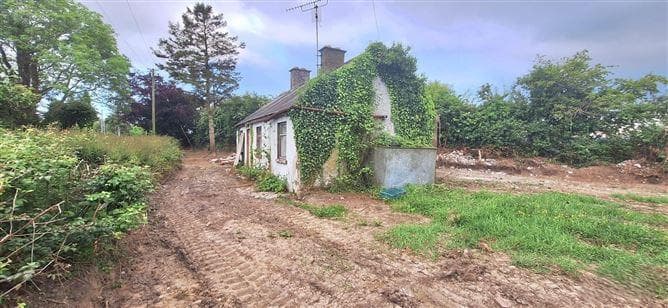 Ballyadams, Co. Laois