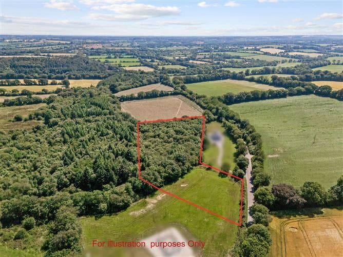 Site 3.3 Acres, Tottenhamgreen, Taghmon, Co. Wexford