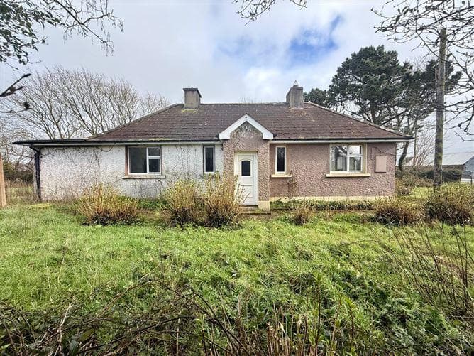 6 skeffington st, wexford, wexford