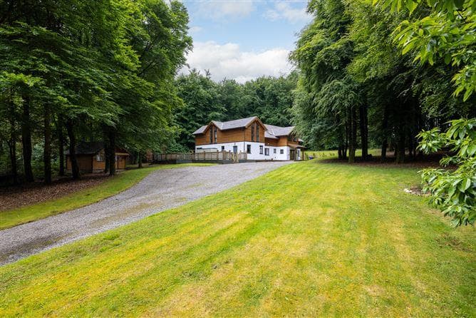 Sequoia, Killgibbon Wood, Bree, Enniscorthy, Co. Wexford