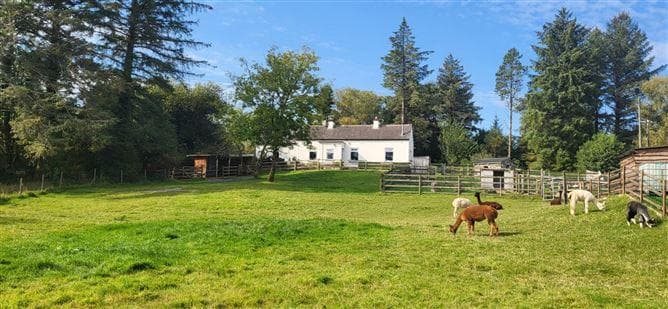 `CURRAGHDUFF FARM`, CURRADUFF, Oughterard, Co. Galway, H91R2Y7