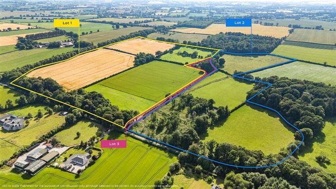 Lot 3 - Gatekeeper's Cottage, Lisnavagh, Rathvilly, Carlow