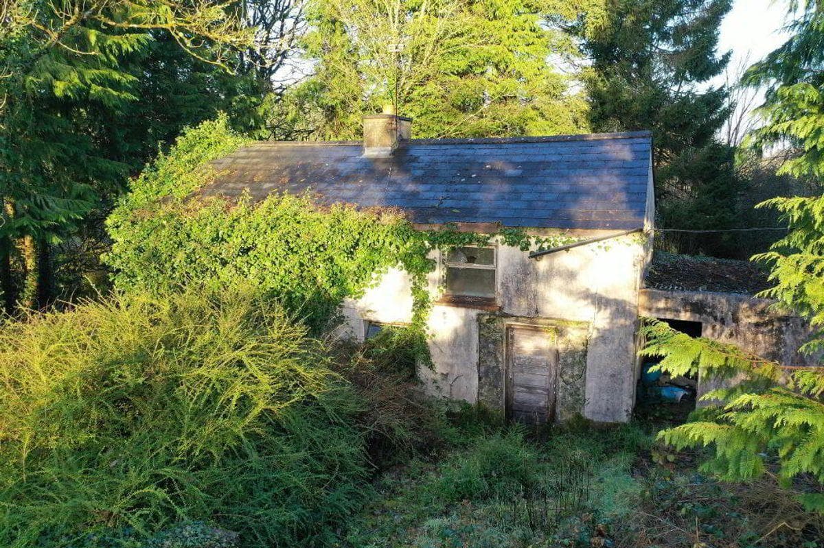 Finnor, Croghan, Co. Roscommon, F52F985