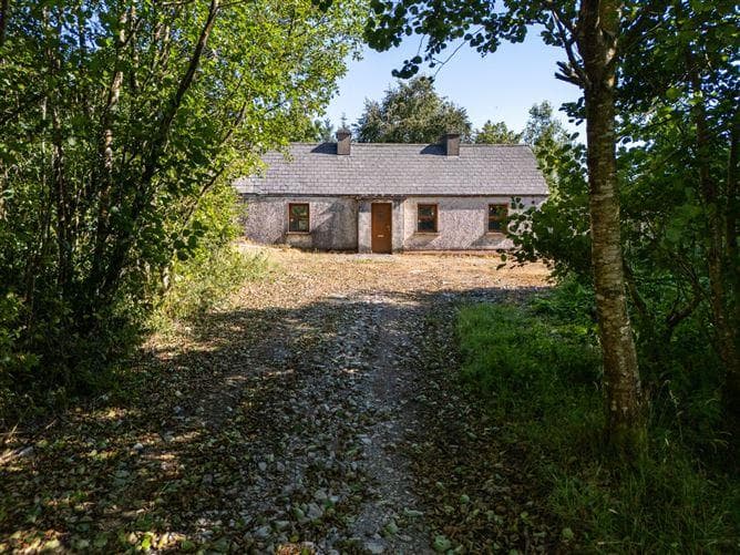 Derrylow, Boyle, Co. Roscommon, RN3682F (For ID)