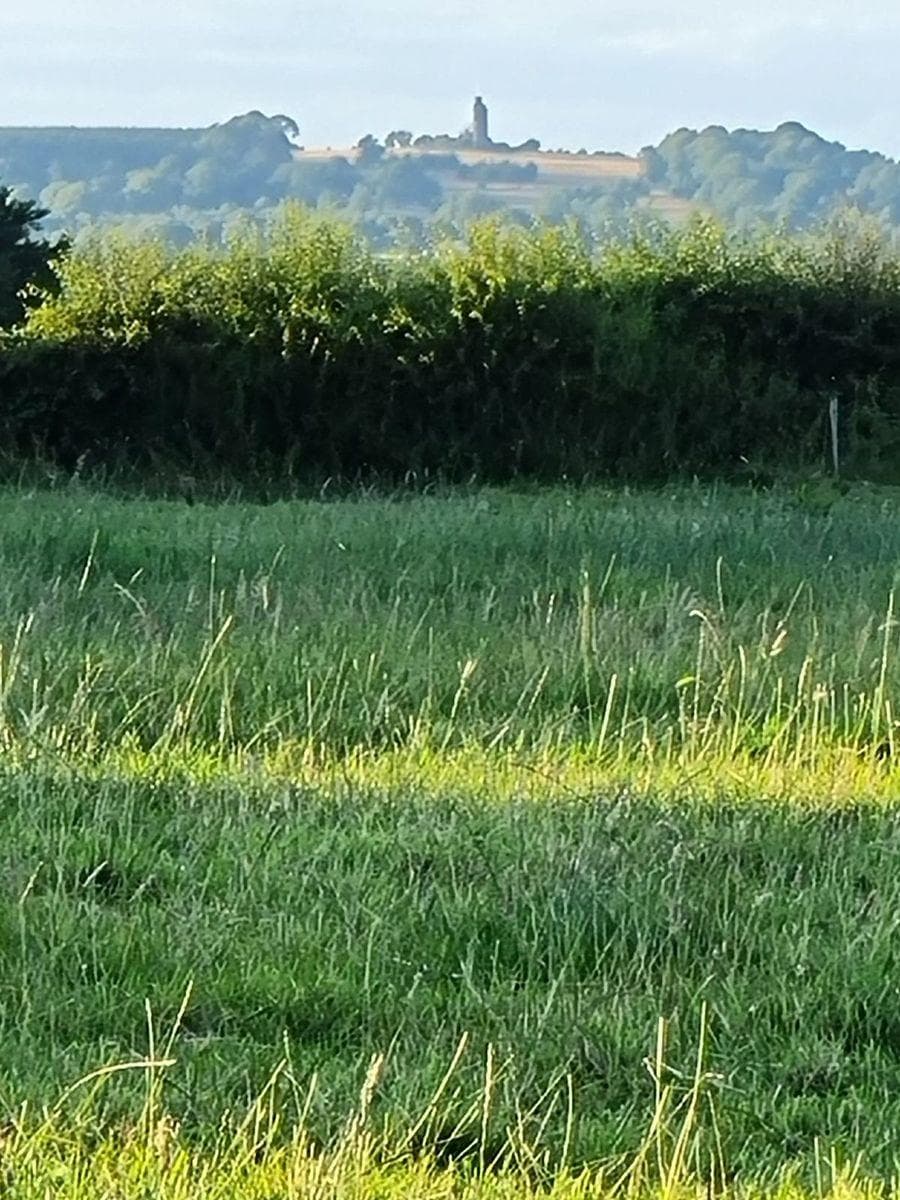 Redcastle, Mountrath, Co. Laois