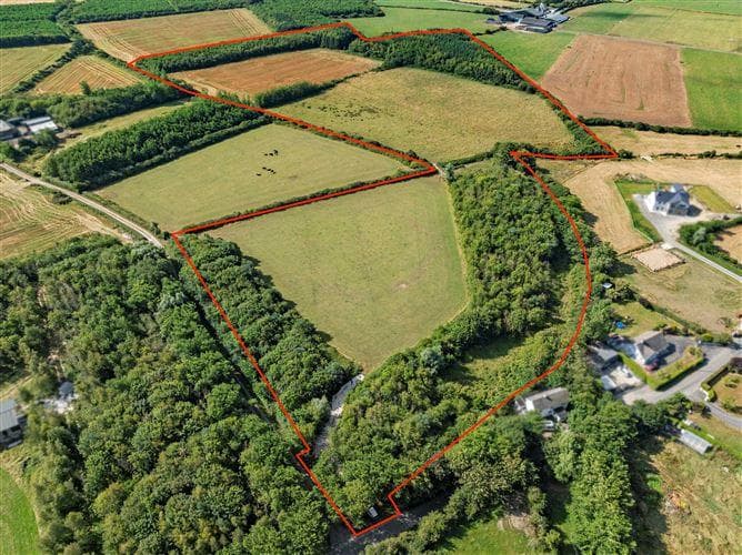 c. 8.78 Hectares (21.70 Acres) at Nicharee, Duncormick, Wexford